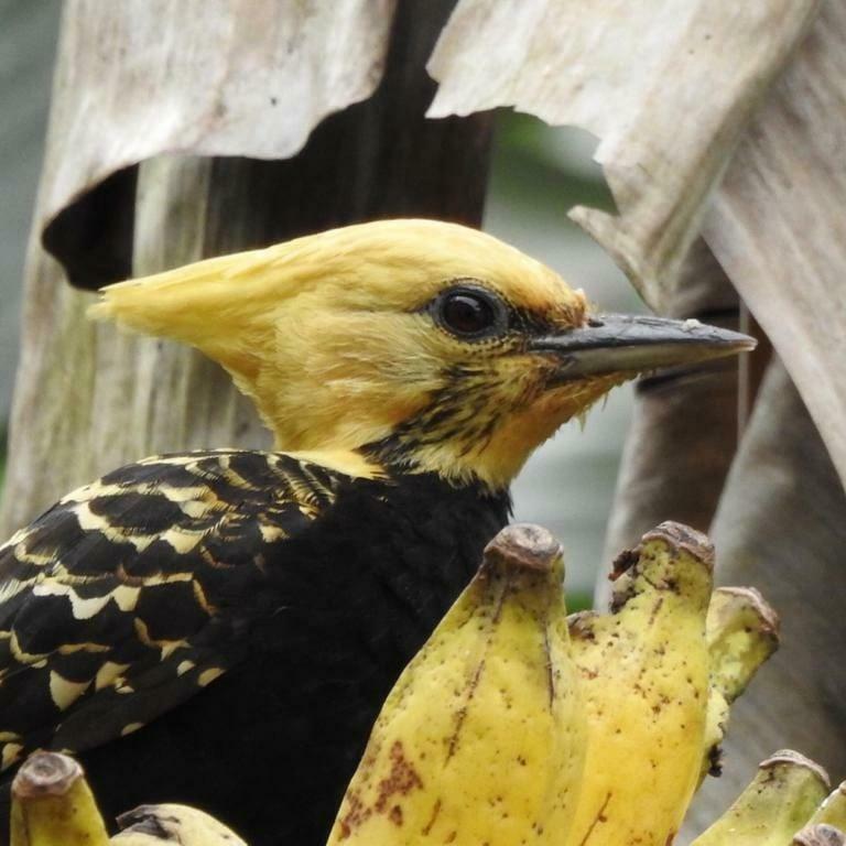 Chale Rio Dos Meros Villa Araquari Eksteriør billede